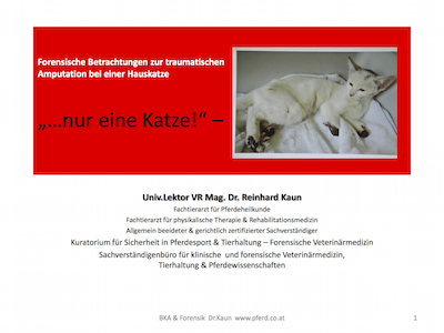 FBTA_Hauskatze